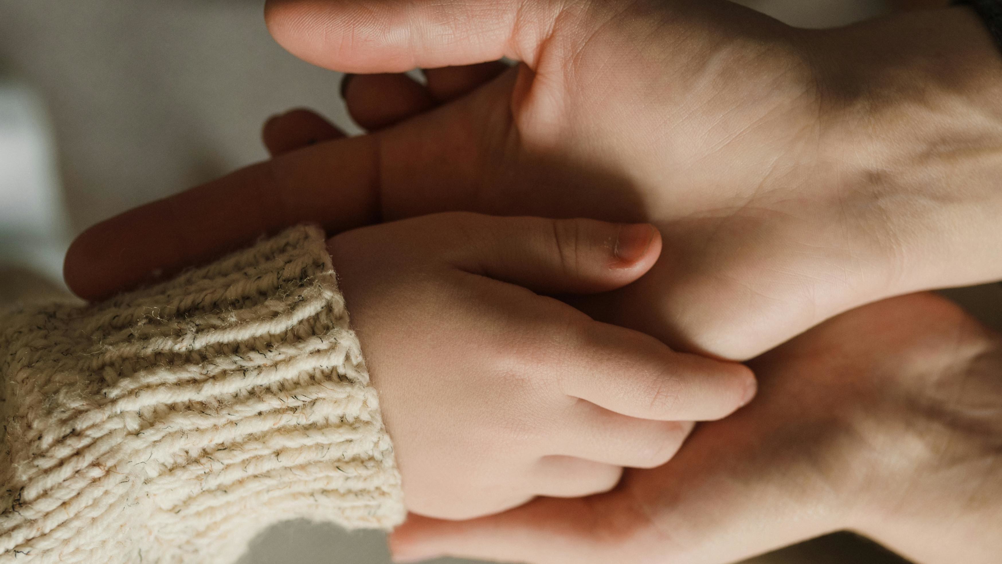 Child Holding an Adult's Hand